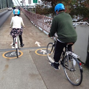 One of the well-marked bridge paths.